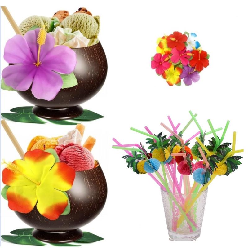 Natural Coconut Bowl Set Organ - Meal Prep Smoothies 评论和价格